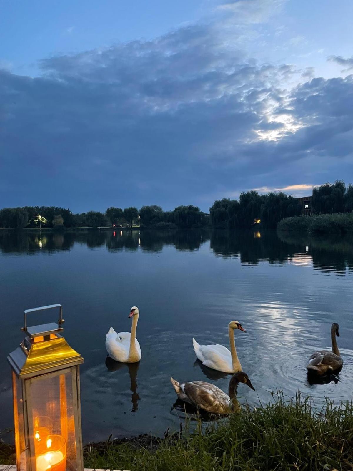 Therme - Corbeanca By The Lake Luxury Villa Экстерьер фото